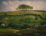 Bild:43857