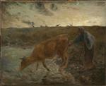 Bild:43861