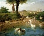 Bild:43896