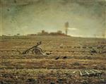 Bild:43906